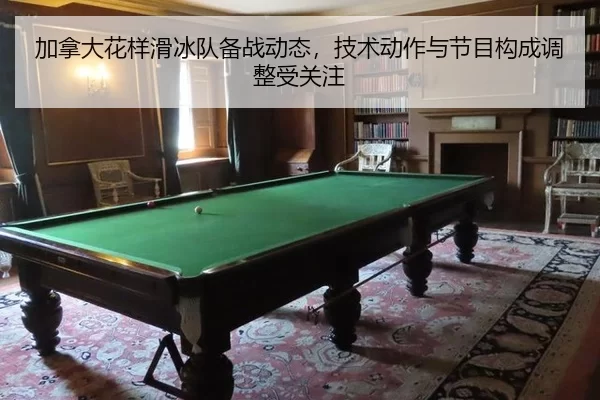 jia-na-da-hua-yang-hua-bing-dui-bei-zhan-dong-tai-ji-shu-dong-zuo-yu-jie-mu-gou-cheng-tiao-zheng-shou-guan-zhu-2-747.jpg